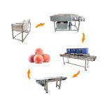 Hot selling Fruit Vegetable Bubble Washing Machine Suppliers by Huafood