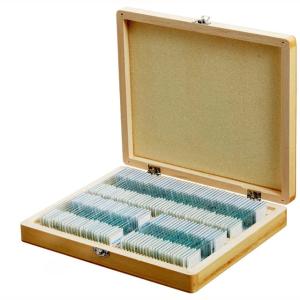 Quality ODM 100pcs Wooden Box Glass Slide Biology As Children Educational Toys wholesale