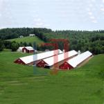 Modern Lightweight Metal Frame Building Poultry Farm Structure