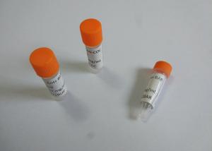 Quality Anti-PPX Mouse Monoclonal Antibody Anti-Propoxyphene wholesale