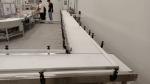 Zzgenerate Food Grade PVC or PU Belt Conveyor for Pastry Conveying