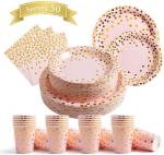 DT2096 Disposable Party Tableware