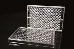 6 Well TC PCR Laboratory EDGE Cell Plates