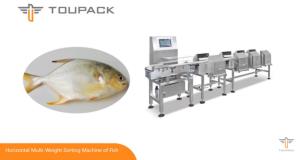 Quality 500g Weight Sorting Machine wholesale
