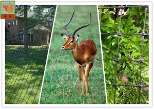 Quality BOP Deer Netting, Deer Fence Netting, Plastic Netting, UV Protected, 100 Feet Length wholesale