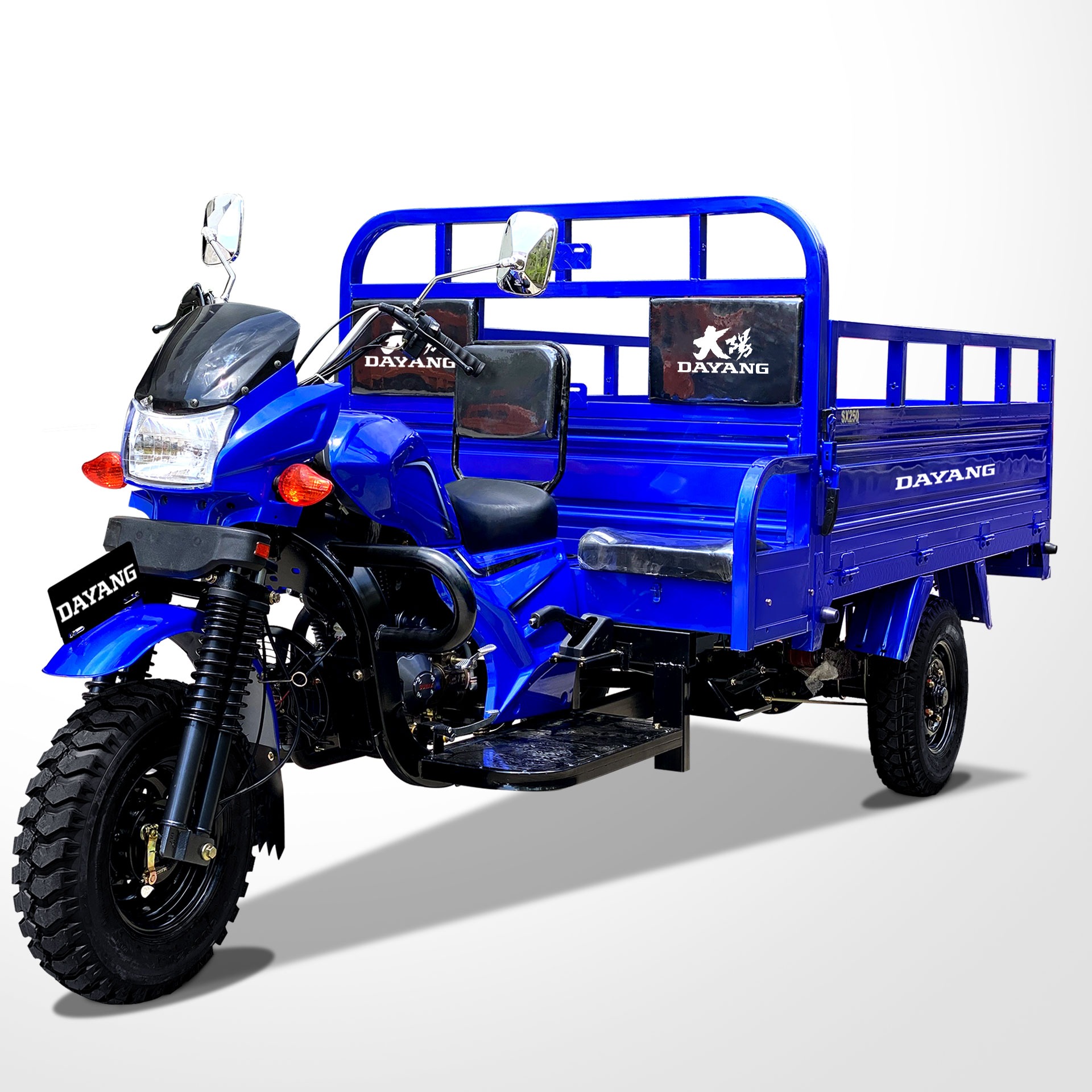 Open Body Type DAYANG Powerful Motor Tricycle for Cargo 200cc 250cc Gasoline Pedicab