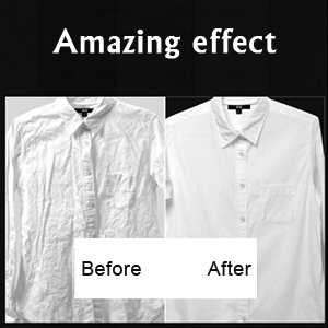 Easy to Carry 1000W Portable Garment Steamer For Clothing ABS Material 220V Voltage