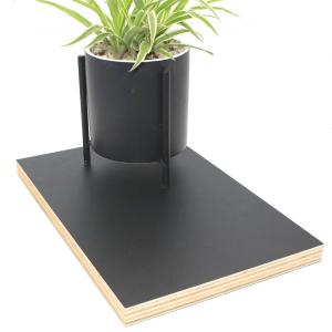 Quality 4x10ft Office Cabinets E0 Mdf Medium Density Fiberboard wholesale