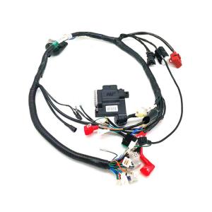 Quality OEM Motorcycle Wiring Harness Electronic Fuel Injector Wiring Harness wholesale