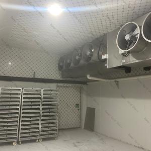Quality Walk In Cold Room Freezer wholesale