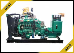 Quality 108 A Natural Gas Generator Set Longer Life Special Design Engine Derusting Reliable Steel Material wholesale
