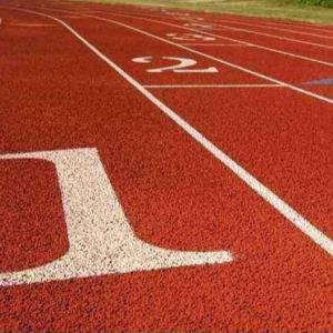 Quality 24 COLORS Synthetic Athletic Track Rubber Indoor Running Track Anti Skidding wholesale