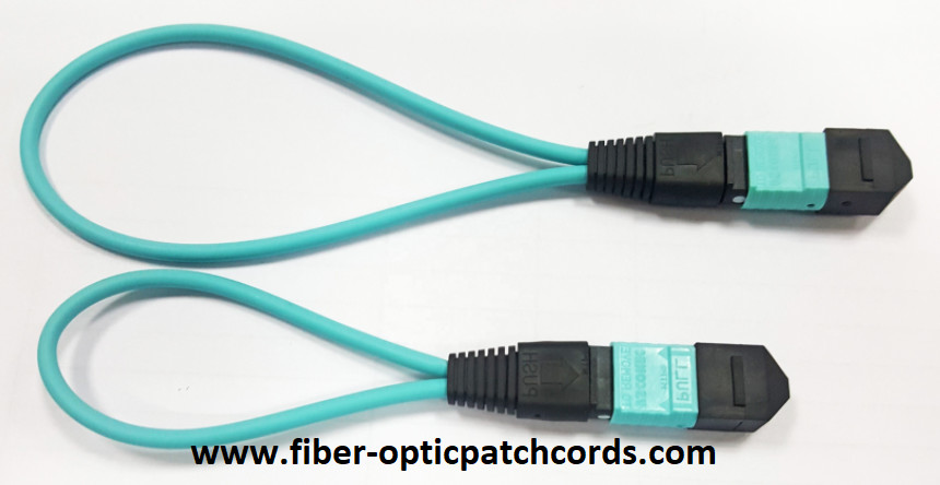 Single Mode Multimode Fiber Optic Connectors Lookback 24 Core OM3 OM4