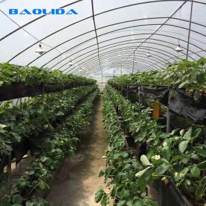 Quality Agricultural Plastic Film Greenhouse Simple Structure Easily installed wholesale