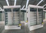 Integral Glass 2 Door Display Freezers With Energy Label