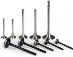 6CT Engine Inlet And Exhaust Valves Material 40CrMnTi Soldering Alloy