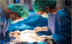 Odorless Disposable Medical Gloves Nitrile Powder Free Gloves