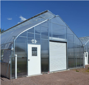 Used Container Tomato Greenhouse PE Material Optional Ventilation System
