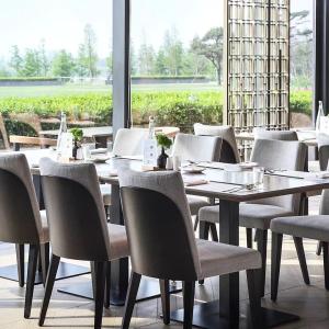 Quality Solid Wood Modern Restaurant Chair Backrest Fabric Upholstered Dining Chair wholesale
