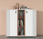 Office Furniture Steel File Cabinet Cupboard Index Card Padlock Filing Cabinet