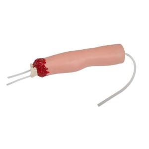 Quality Upper Limb Amputated Trauma Hemostasis Medical Training Model For Surgical Education wholesale