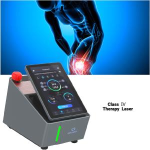 Quality CE Class 4 Cold Laser Therapy 15W 810nm Class IV Deep Tissue wholesale