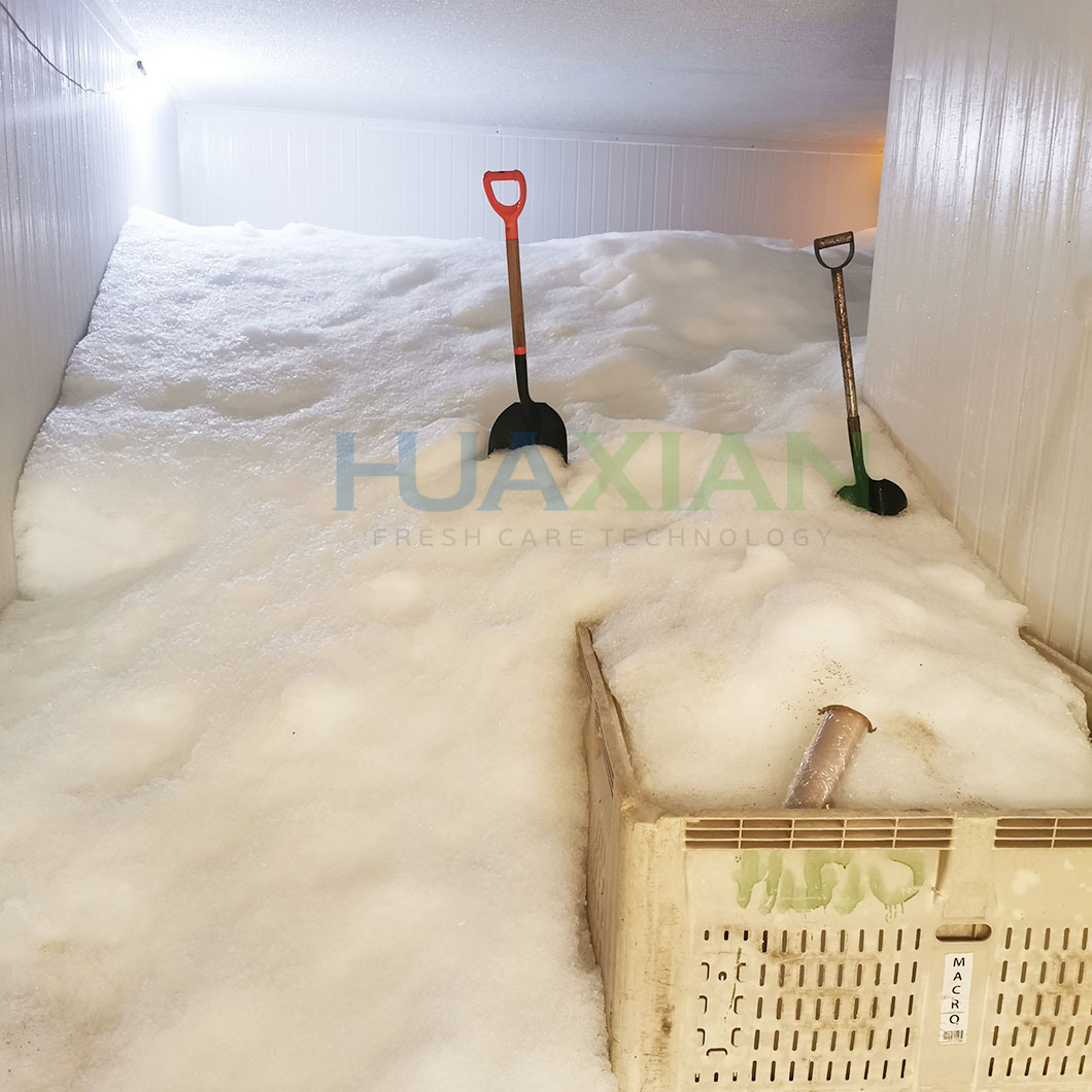 Bitzer Compressor 10 Tons Block/Flake Ice Storage Container Room