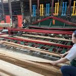 Natural walnut wood veneer 0.5mm wood veneer plywood used for cabinet wall and