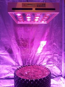 Quality E.shine 5G 12-bands GrowSun 320W LED Grow Lights wholesale
