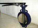 Zero Leakage Wafer Gearbox Operated Butterfly Valve 12'' For Petrochemical