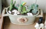 Succulent Creative Ancient Sun Flower Plant Flowerpots