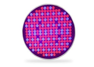 Quality 50W High Power UFO LED Plant Grow Light Waterproof For Vegetable / Flower wholesale