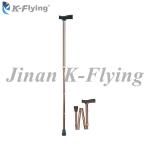 Foldable Medical Rehabilitation Equipment Walking Stick For Old Person Disabled