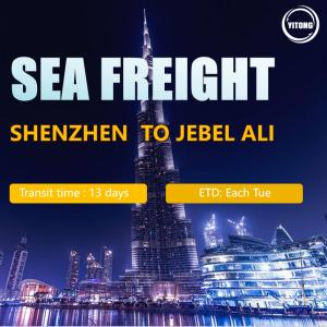 Quality Sea Freight From Shenzhen To Dubai International Logistcs DDU/DDP Services wholesale
