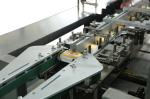 Automatic Carton Folding Sealing Machine Cartoning Machinery Carton Box Packing