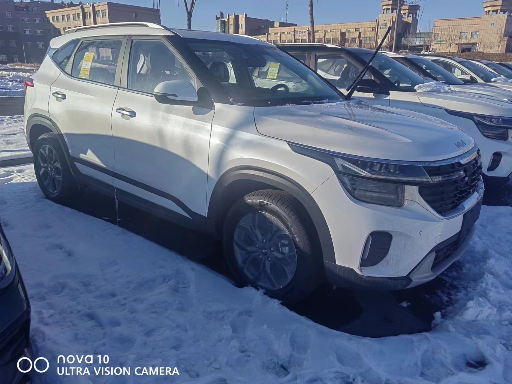 2023 KIA Seltos Urban Vehicles 5 Seats SUV Gasoline 1.5L