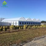 Glass Cover Blackout Multi Span Greenhouse Gutter Connect Strawberry Plant