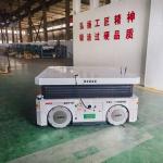 6 Tons Macnam Wheel Hybrid Navigation AGV