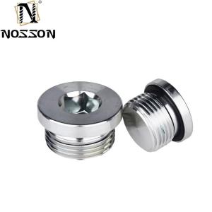 Quality 10mm ALLOY Stainless Steel Hexagon Socket Pipe Plug Screw Din908 with ZINC Treatment Protection Guaranteed by 10- wholesale