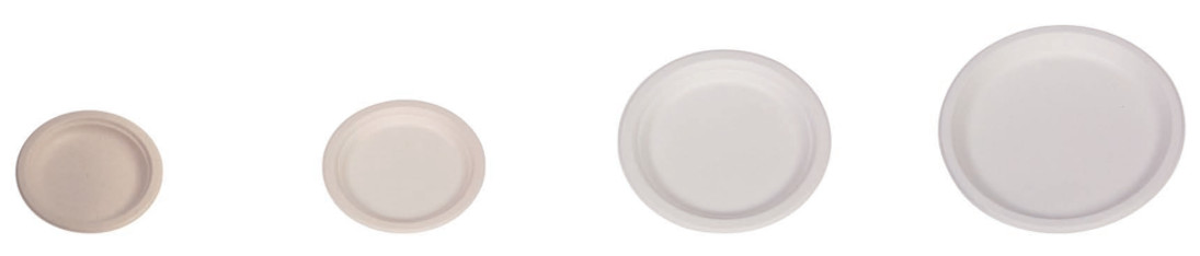 Disposable Tableware Biodegradable Sugarcane Bagasse Plates Refrigerator Wedding