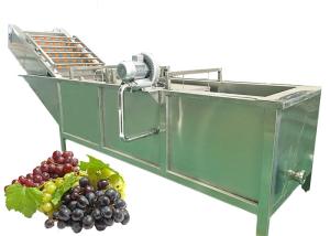 Quality Efficient Fruit Juice Manufacturing Plant Raisin Making Low Energy Consumption wholesale