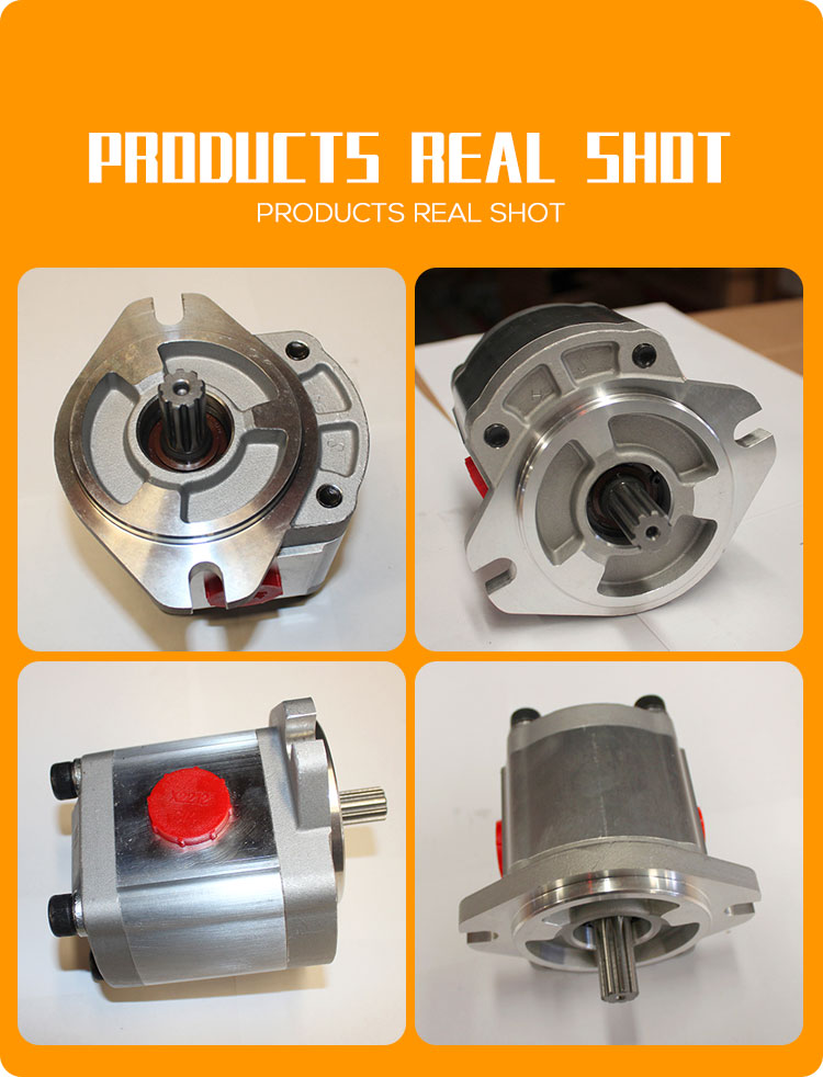 Restaurant High Pressure Pump Gear Pumps Hydraulic Oil Pumps for Road Roller