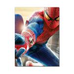 Large Size 3D Lenticular Poster For Indoor Decoration Or Outdoor Advertisement