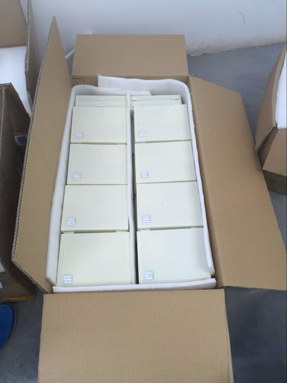 Prepared 25pcs Lab Research Odm Histology Microscope Slides
