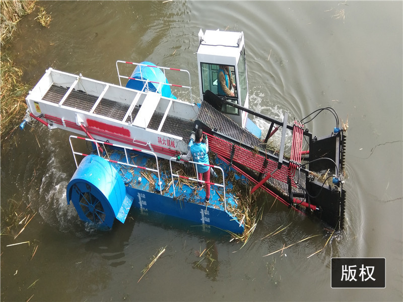 Weed Reed Harvester Lake Weed / Duckweed / Reed / Floating Algae Harvester Machine