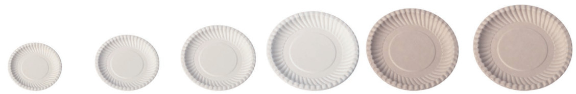 Disposable Tableware Biodegradable Sugarcane Bagasse Plates Refrigerator Wedding
