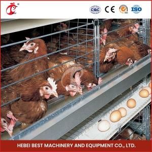 Quality Galvanized Steel Poultry Battery Chicken Cage System For Layer Farm Ada wholesale