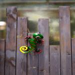 Colorful Outdoor Metal Lizard Wall Art Handicraft Metal Gecko Wall Art