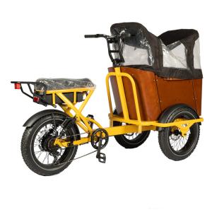 Quality 50-60 Nm Torque Three Wheel Cargo Ebike Safe for Carrying Children and Food Delivery wholesale