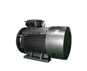 Quality 92.5% High Efficiency Asynchronous Electric Motor YE3 112M-4 4kW 380V wholesale